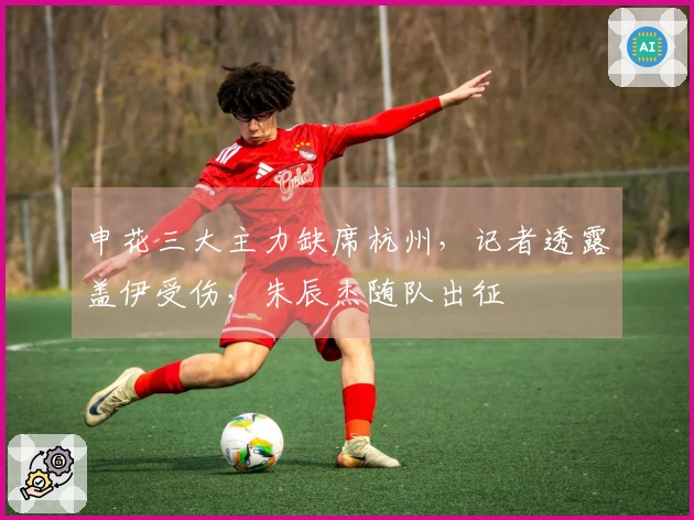 申花三大主力缺席杭州，记者透露盖伊受伤，朱辰杰随队出征