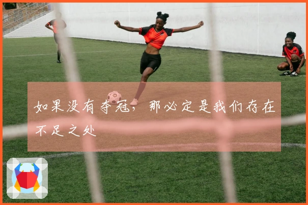 如果没有夺冠，那必定是我们存在不足之处