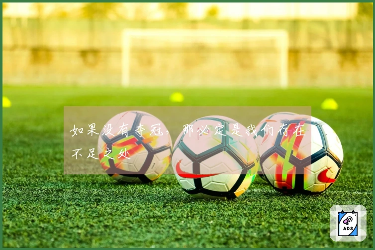 如果没有夺冠，那必定是我们存在不足之处